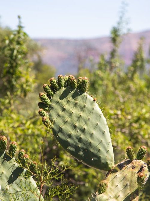 Guide To Visiting The Ouirgane Valley _ Anywhere We Roam 1