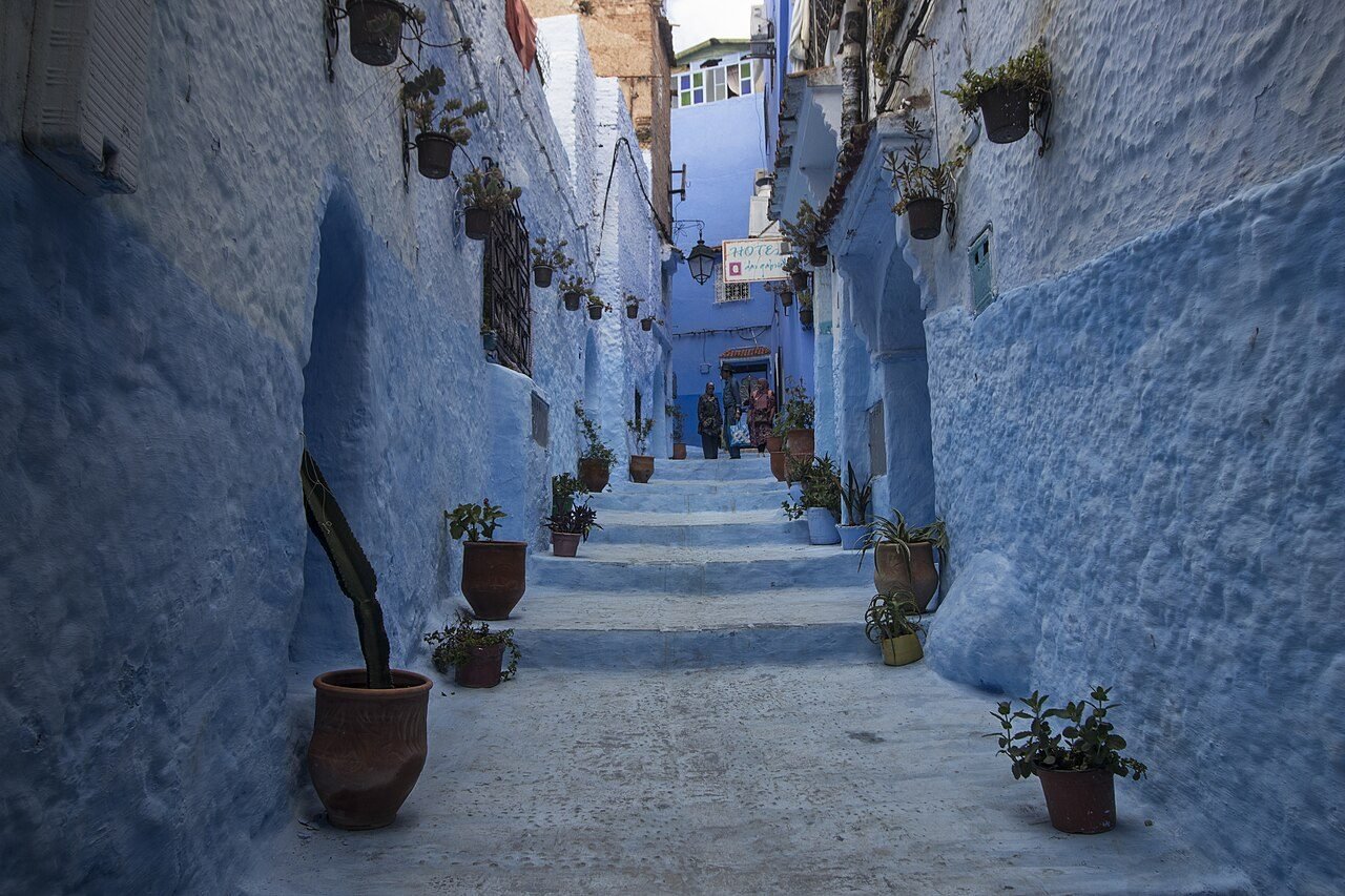 Blue-washed stairs and doorways with potted plants in a narrow lane of the Chefchaouen medina