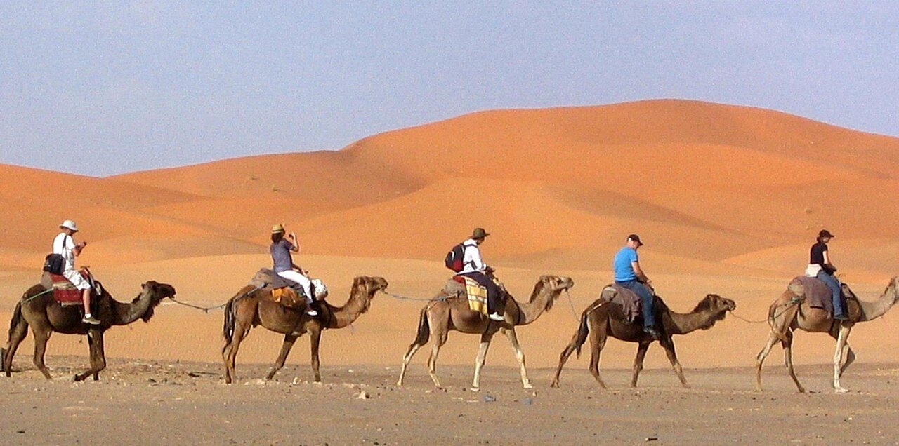 Camel caravan crossing the orange sand dunes of Erg Chebbi near Merzouga at sunset