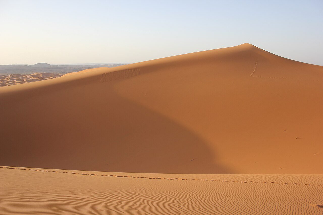 Small sand dunes and palm trees near Zagora in the Draa Valley with camels resting at dusk