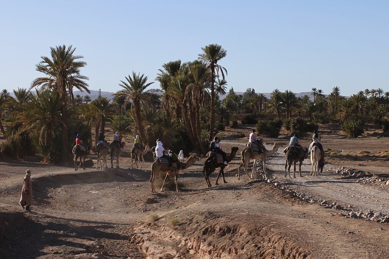 Desde Marrakech: excursión de 2 días al desierto de Zagora con campamento — photo 1