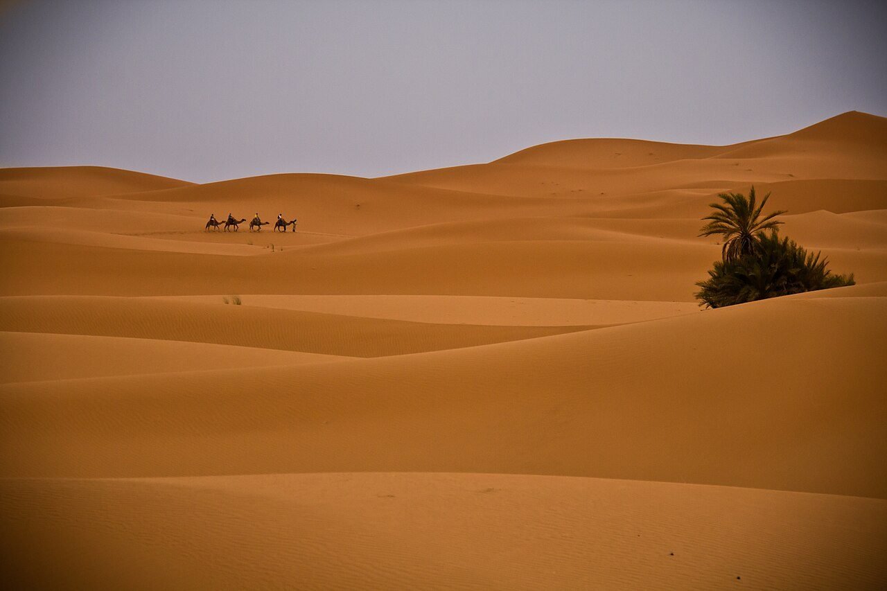 From Fes: 3-Day Sahara Desert Tour to Marrakech via Merzouga — photo 2