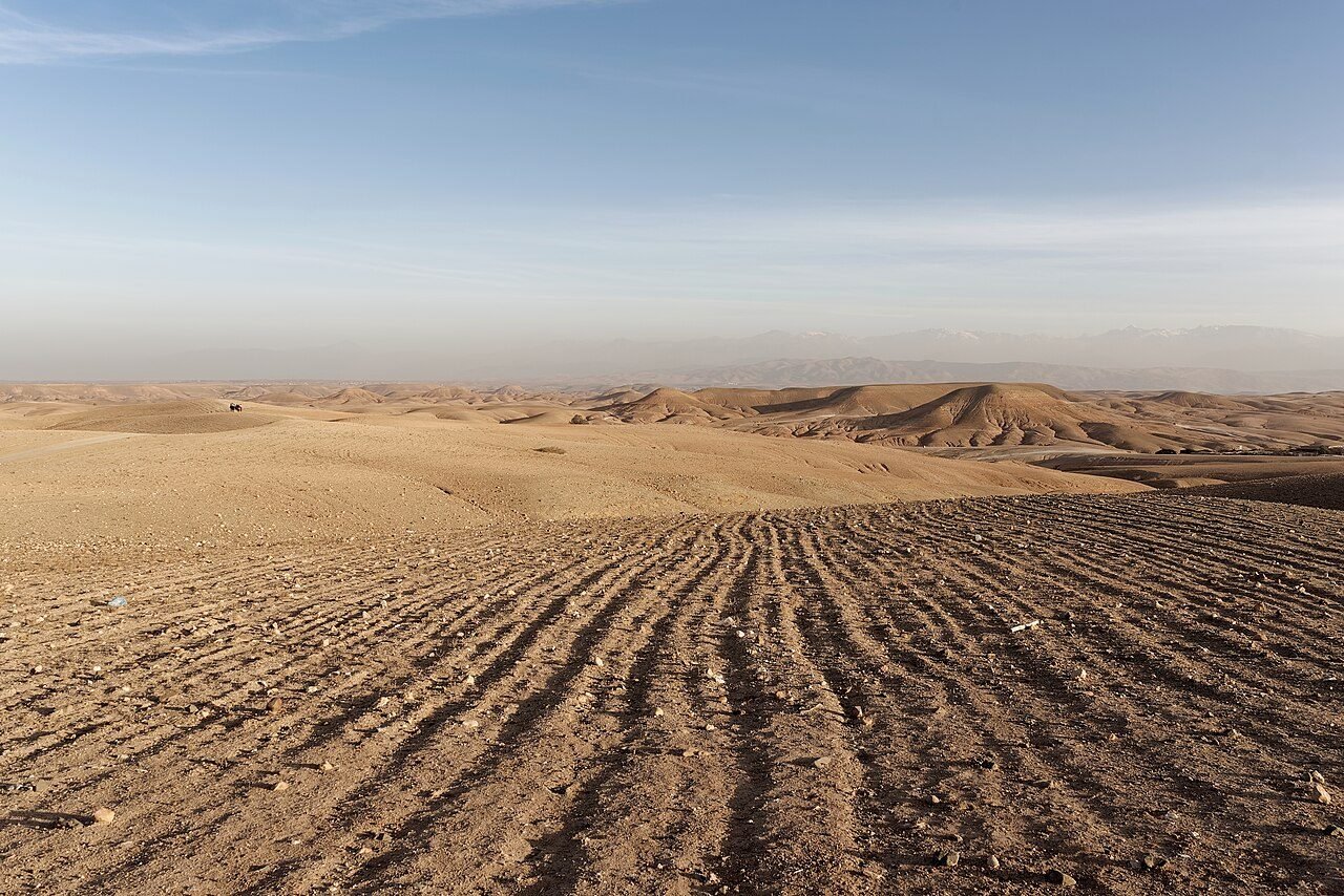 From Marrakech: Agafay Desert Sunset Camel Ride and Dinner at Camp — photo 1