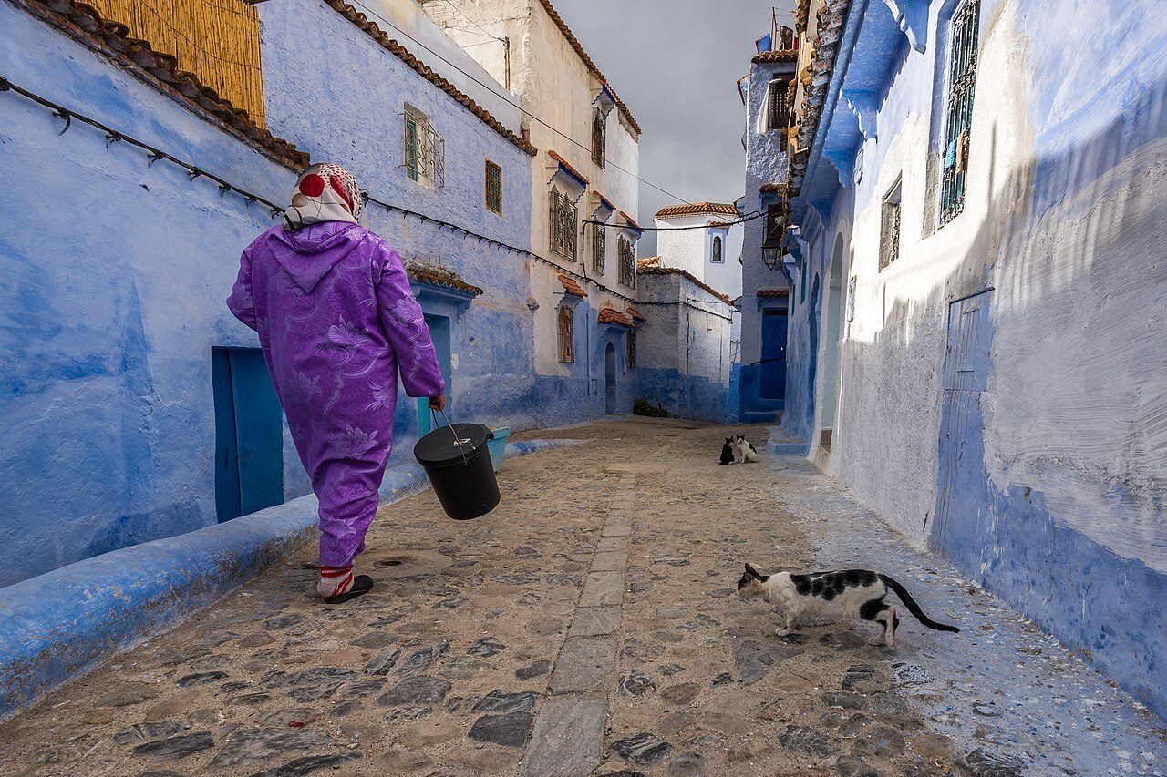 Desde Fez: excursión a Chefchaouen, la ciudad azul del Rif — photo 2