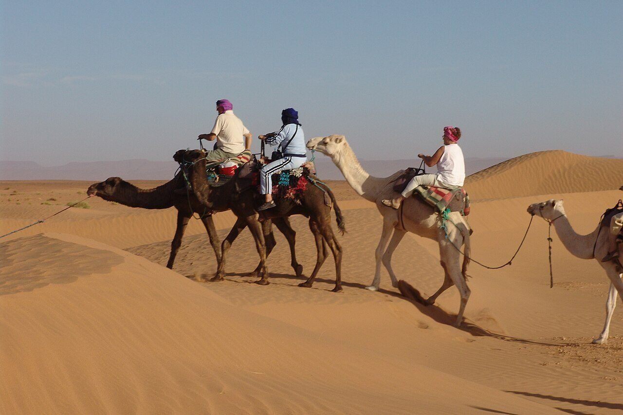 From Marrakech: Agafay Desert Quad Bike, Dinner & Show — photo 4